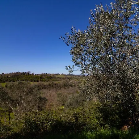 Villino Tre Pini Con Piscina Privata A Firenze By Tuscanywego * Bargino